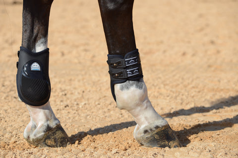 Veredus Olympus Vento Achter