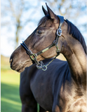 LeMieux Rope control Headcollar