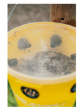 Ecobusters Vliegenval weide Compact+240g lokstof