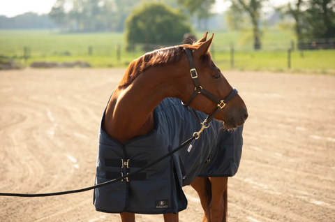 Puissance Staldeken 300 g