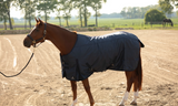 Puissance Staldeken 300 g