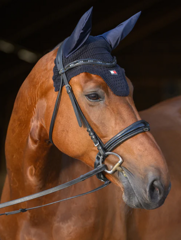 Tommy Hilfiger Lexington Fly Hood Desert Sky