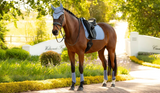 LeMieux Essence Saddle Pad Dressage Full Powder Blue