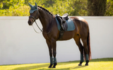 LeMieux Essence Saddle Pad Dressage Full Jungle