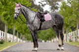 LeMieux Essence Saddle Pad Close Contact Full Fondant