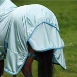 Shires Winnie & Me vliegendeken pony