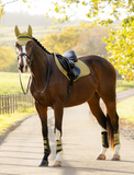 LeMieux Suede Close Contact zadeldoek Gooseberry