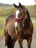 LeMieux Breakaway Vogue halster + touw bramble
