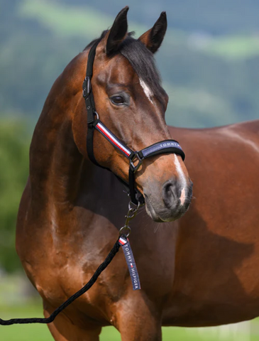 Tommy Hilfiger Yale Set Halter Rope Zwart