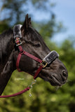 Bucas Showline halster