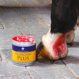 Carr & Day & Martin Protection Plus Zalf 500g