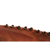 HippoTonic manenelastiekjes rubber 500st