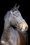 LJ Pro Sel Heritage hoofdstel gecomb neusriem
