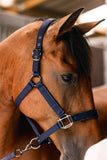 Harcour Hansy halster en touw