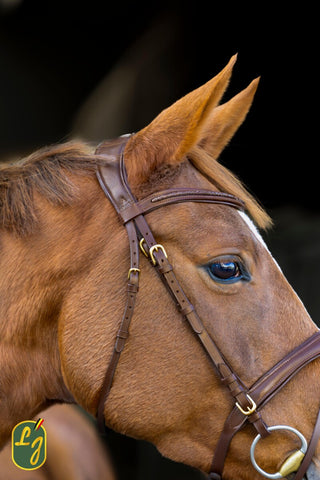 LJ Hoofdstel Tress gecombineerde neusriem met teugels bruin