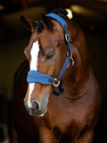 LeMieux vogue head collar