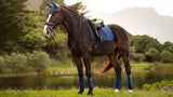LeMieux Saddle pad Suede squares dress