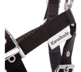 Kavalkade Veulenhalster