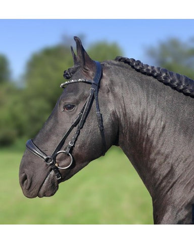 Muserolle basse HB Bridle Showtime