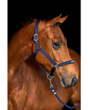 HB halster neopreen met tekst
