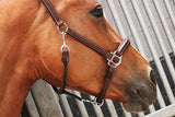 Jump'in one fancy halster