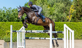 LeMieux Loire Classic jumping Twilight