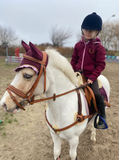 Joline Softshell