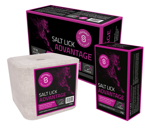 Equisalt Salt Lick ADVANTAGE 2 kg