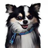 DWAM Blue Halsband