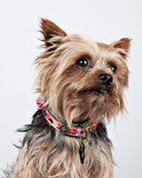 DWAM Boho Rosa halsband