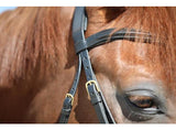 LJ Bridle New Classic avec muserolle combinée