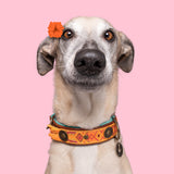 DWAM Boho Chica halsband