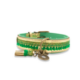 DWAM Party Animal halsband